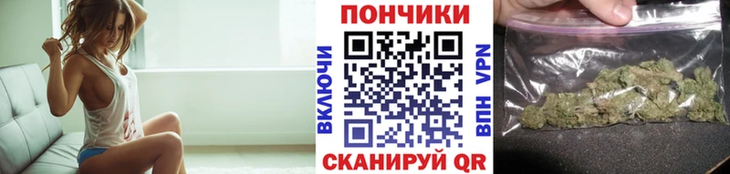 Купить закладку APVP  Меф  ГАШ  Бошки Шишки  АМФЕТАМИН  Cocaine  Жердевка