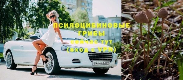 бошки Сосновоборск