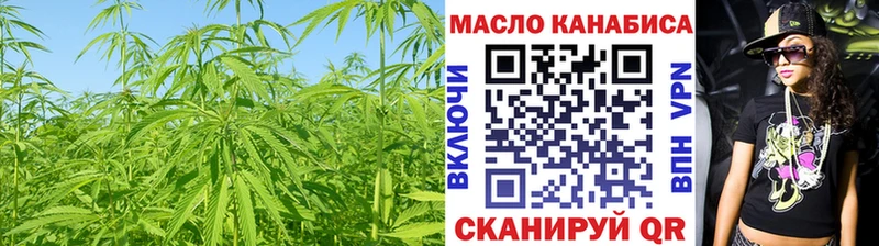Купить закладки  Жердевка  ТГК THC oil 