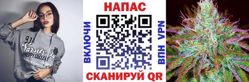 Каннабис MAZAR  Купить закладки  Жердевка 